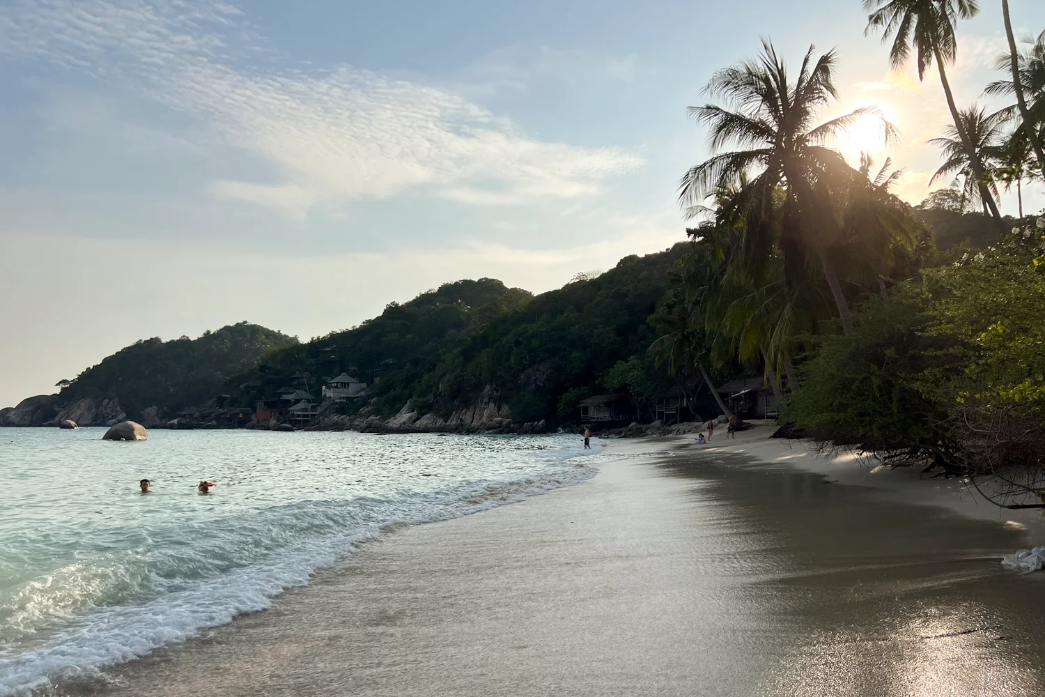 Koh Tao Shark Bay